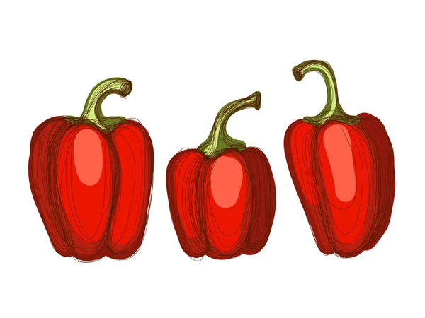 Set hand getrokken schetsen van rode paprika op witte achtergrond — Stockvector
