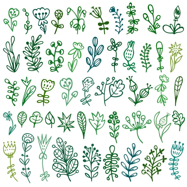 Set di rami di scarabocchi, erbe, fiori, piante . — Vettoriale Stock
