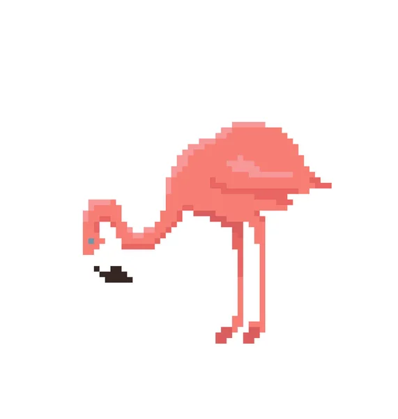 Pixel art flamingo izolowane na białym tle. — Wektor stockowy