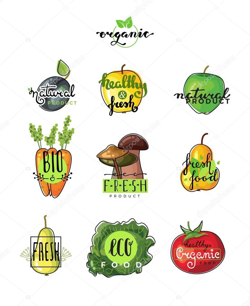 Hand lettering logo of vegetarian ecology fresh food. Hand drawn typeface. Eco bio raw food. Vector illustration of vegetables and fruits