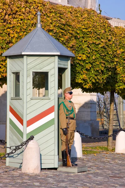 부다페스트, 헝가리-2015 년 11 월 6 일: 대통령 궁전에 근무 했다 — 스톡 사진