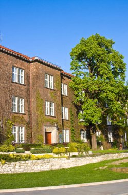 Wawel, krakow, Polonya