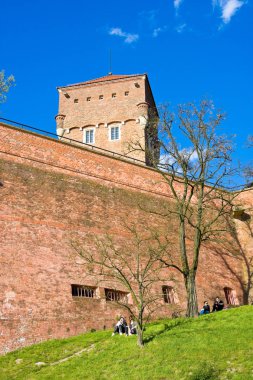 Krakov, Polonya - 25 Nisan 2016:: bölge Wawel Castle adlı yürüyüş insanlar