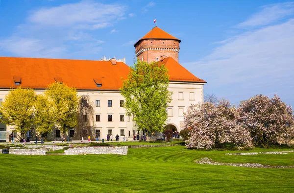 CRACOW, POLONIA - 21 DE ABRIL DE 2017: Gente caminando por el territorio del Castillo de Wawel —  Fotos de Stock