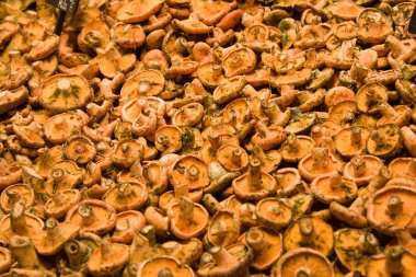 Variety of milk caps mushrooms at the market (La Boqueria, Barcelona). Very popular in Catalonia, Spain  clipart