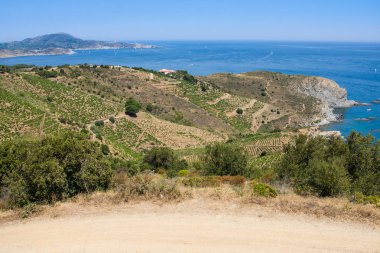 Kayalık sahil deniz rezerv Cerbere Banyuls, Akdeniz, Pyrenees Orientales, Cote Vermeille, Fransa