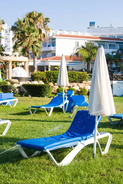 Plage méditerranéenne de palmiers avec chaises longues vides le matin, Paphos, Chypre — Photo