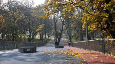 Debrecen, Macaristan - Nobember 1, 2015: koşu parkuru Nagyerdei Stadion çevresinde. FC 