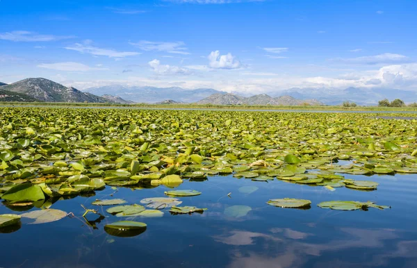 Nationaal Park Đurađ Lake, Montenegro — Stockfoto