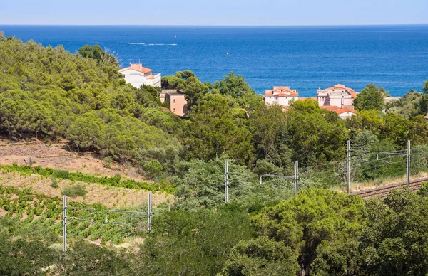 Góry w pobliżu Collioure wieś, Roussillon, Vermilion wybrzeża, Pyrenees Orientales, Francja — Zdjęcie stockowe