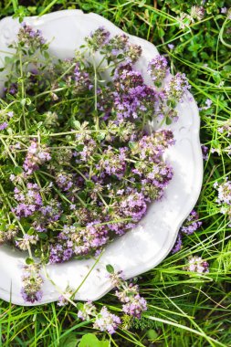 Yaz aylarında tabakta kekik