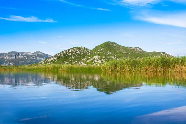 Skadar Lake National Park, Montenegro — Stockfoto