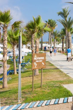 Paphos, Kıbrıs - 16 Temmuz 2017: Halk plajı Pachyammos sabahları. Pafos. Kıbrıs