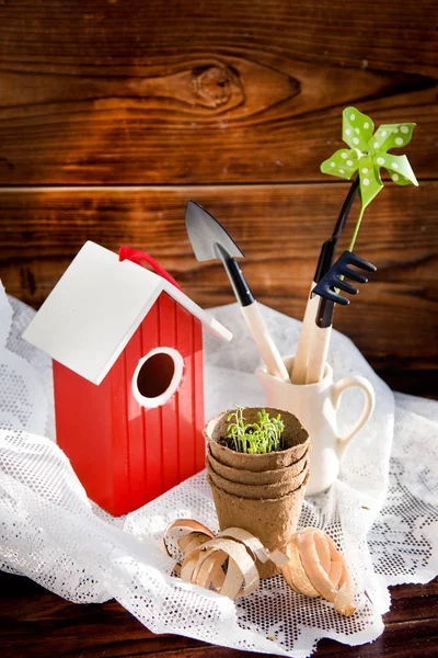 Torba contro attrezzi da giardino e bird-house su sfondo di legno — Foto Stock