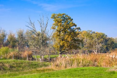 Hortobagy, Macaristan - 31 Ekim 2015: Hortobagy Milli Parkı, Macaristan. 1999'dan beri Unesco Dünya Mirası Sit alanı olduğunu. Bütün alan Natura 2000 koruma de alandır