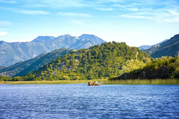 Skadar Lake National Park, Montenegro — Stockfoto