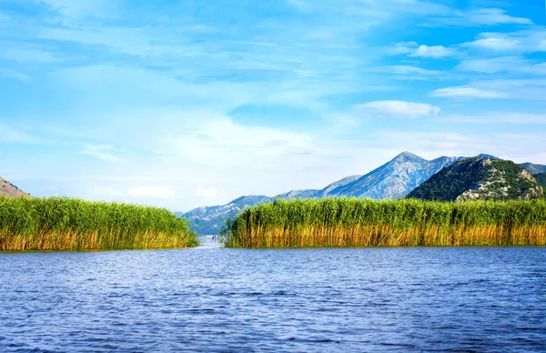 斯卡达尔湖国家公园、 黑山 — 图库照片