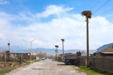 Armash. Ermenistan - 16 Mart 2018: Birçok leylek küçük Ermeni Köyü, Ararat vadi canlı
