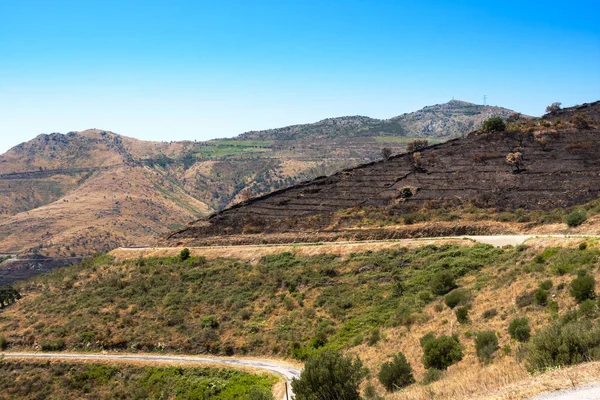 Wijngaard landschap bij Banyuls sur Mer, Pyreneeën Orientales, Roussillon, Vermilion kust, Frankrijk — Stockfoto