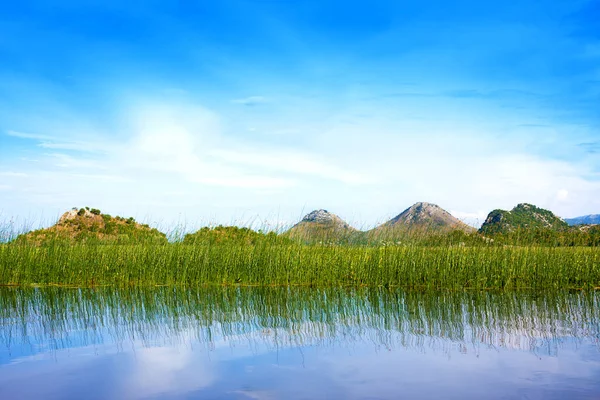 Park Narodowy Jeziora Skadar Czarnogóra — Zdjęcie stockowe