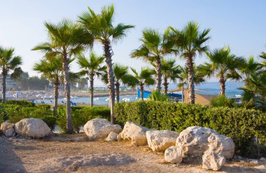 Plaj ve palmiye ağaçları, güneşli bir günde resort, Paphos, Kıbrıs