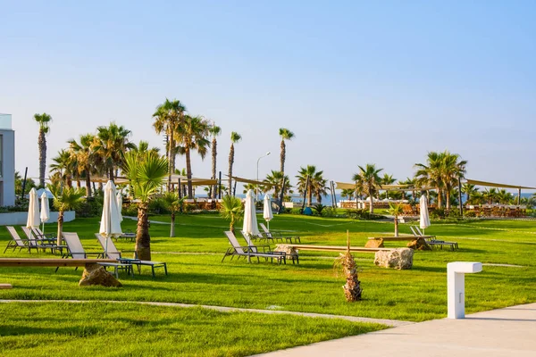 Paphos, Zypern - 20. Juli 2017: Palmenstrand mit leeren Sonnenliegen gegen Amphora-Hotel & Suiten. an der idyllischen Strandlage des ehemaligen Sodap-Weinguts — Stockfoto