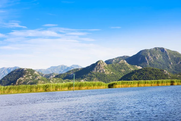 Skadar Lake National Park Montenegro — Stockfoto
