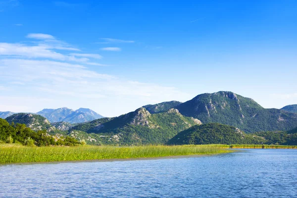 Skadar Lake National Park Montenegro — Stockfoto