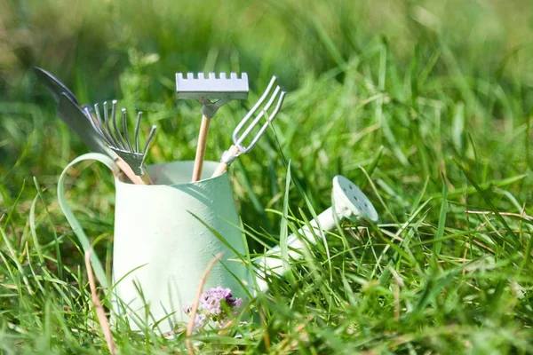 Watering can and garden tools on grass — Stock Photo, Image