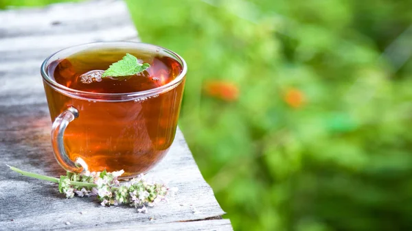 Fresh tasty hot tea with melissa outdoor. Medicine healthy — Stock Photo, Image