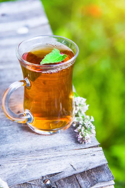 Fresh tasty hot tea with melissa outdoor in summer. Medicine healthy — Stock Photo, Image