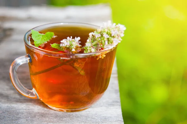 Fresh tasty hot tea with melissa outdoor in summer. Medicine healthy — Stock Photo, Image