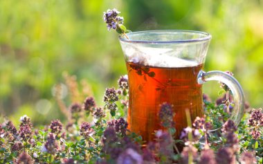 Yazın kekik otlarının içinde bir fincan sıcak bitkisel çay. Yazın Türk fincanı