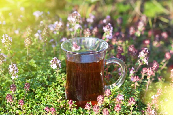 Cup of hot herbal tea in thyme herbs in summer. Turkish tea cup in summer — Stock Photo, Image