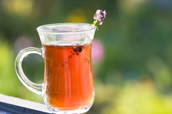 Cup of hot herbal tea in thyme herbs in summer. Turkish tea cup in summer — Stock Photo, Image