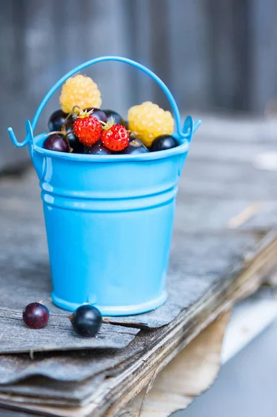 Lamponi rossi e gialli e ribes nero in secchio blu in estate . — Foto Stock