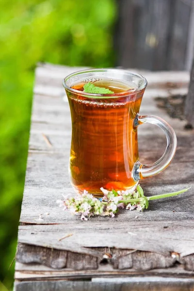 Fresh tasty hot tea with melissa outdoor in summer. Medicine healthy — Stock Photo, Image