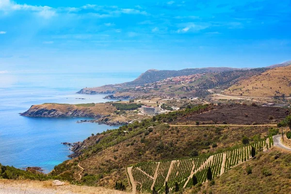 Paisagem vinícola perto de Banyuls sur Mer, Pyrenees Orientales, Roussillon, Vermilion coast, França — Fotografia de Stock