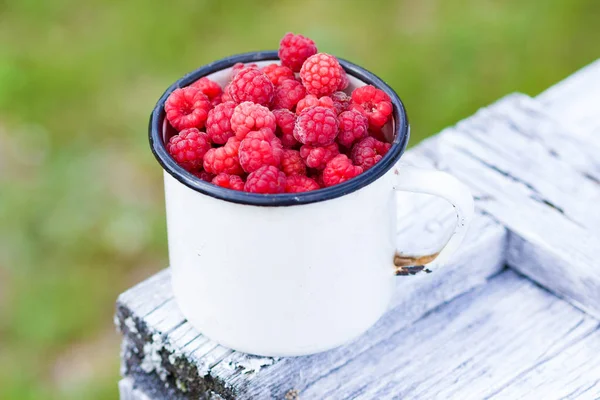 Raspberries in white metal cup in summer day — Stock Photo, Image