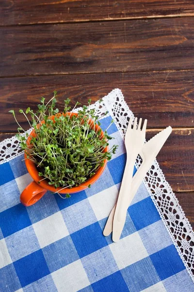 Sprouts of mini green in orange cup and bamboo biodegradable fork and knife made of natural eco recycle reusable material — Stock Photo, Image