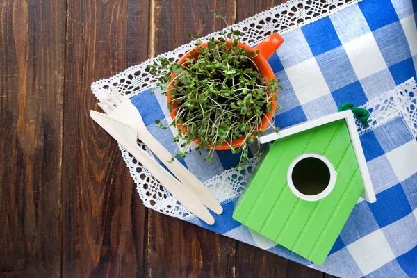 Birdhouse verde, germogli di mini verde in tazza arancione e forchetta e coltello biodegradabili in bambù in materiale eco naturale riciclabile — Foto Stock