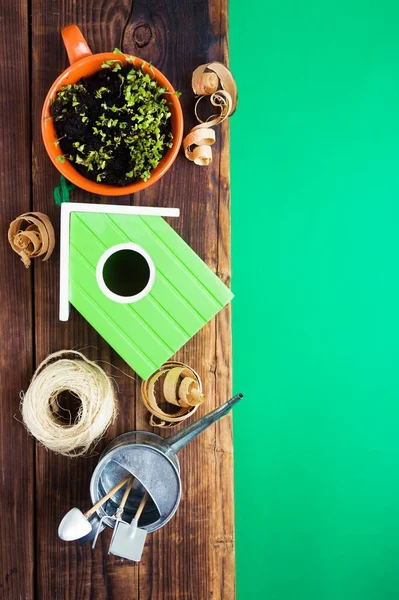 Зеленый птичий домик, мини-зелень в чашке, шпагате, баночке для полива и древесном бритье . — стоковое фото