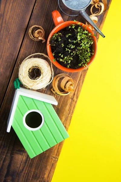 Birdhouse verde, germogli di mini verde in tazza, spago, annaffiatoio e rasatura in legno . — Foto Stock