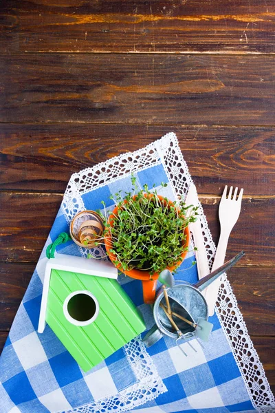 Green Birdhouse Sprouts Mini Green Orange Cup Bamboo Biodegradable Fork — Stock Photo, Image