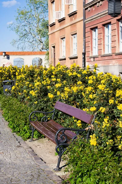 Banco Madera Vintage Sobre Pavimento Piedra Contra Flores Amarillas Casco —  Fotos de Stock
