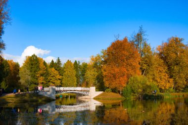 Pavlovsk, Rusya - 5 Ekim 2019: Sonbahar Parkı, Slavyanka Nehri ve Geyik Köprüsü güneşli bir günde. Pavlovsk 'ta. St. Petersburg 'da. Rusya