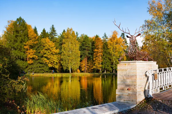 Pavlovsk Rusland Oktober 2019 Herfstpark Slavyanka Rivier Deer Brug Zonnige — Stockfoto