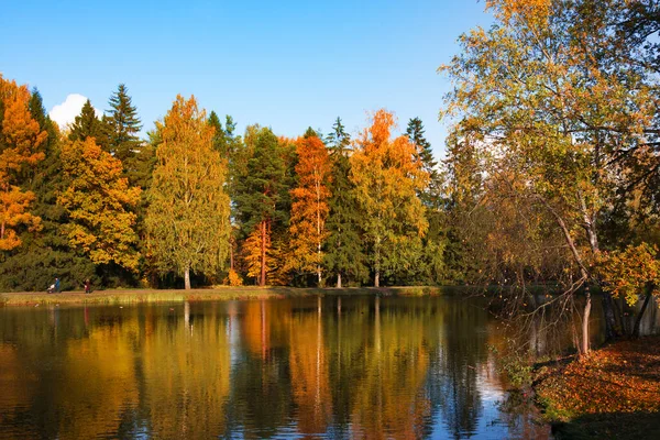 Herfstblad Pavlovsky Park Pavlovsk Sint Petersburg Rusland Herfstpark Met Vijver — Stockfoto