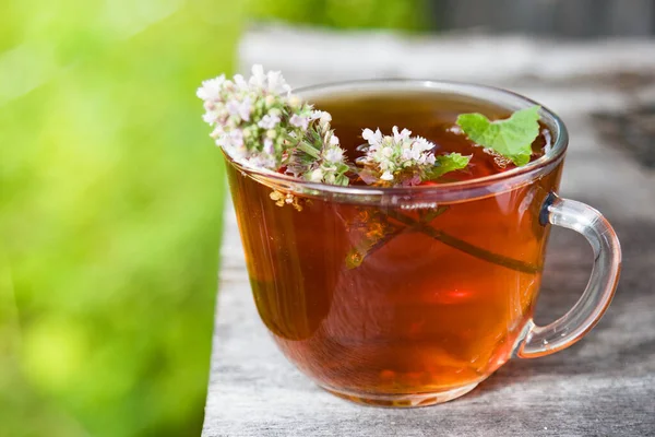Fresh Tasty Hot Tea Melissa Outdoor Summer Medicine Healthy — Stock Photo, Image