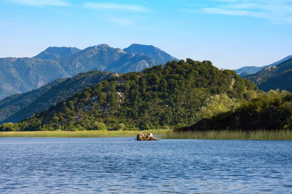 Skadar Lake National Park Sommaren Montenegro — Stockfoto